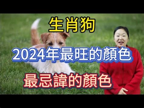 屬狗幸運顏色|2024屬狗幸運色：綠色與紅色助運指南 